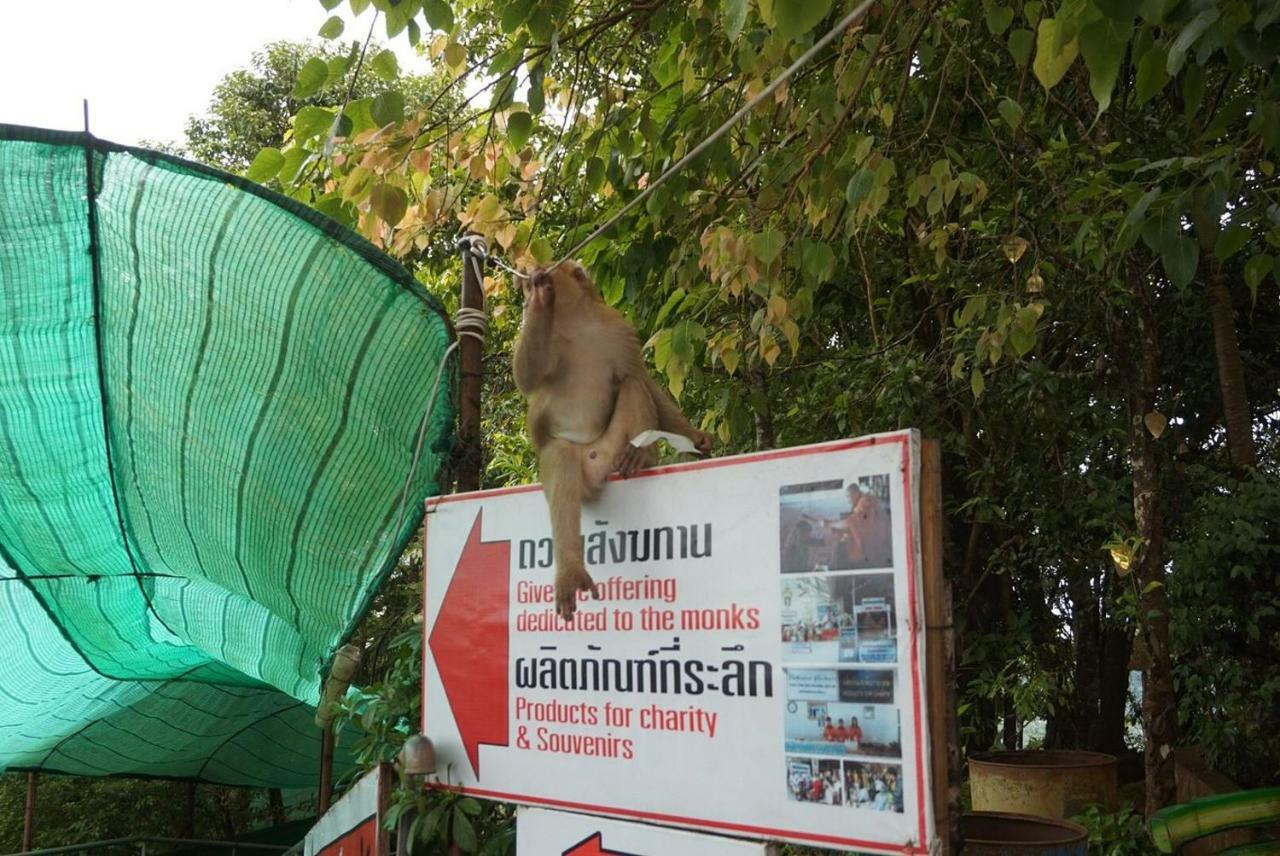 Wechat Inn Patong Exteriör bild