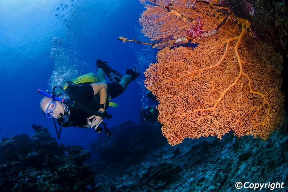 Wechat Inn Patong Exteriör bild